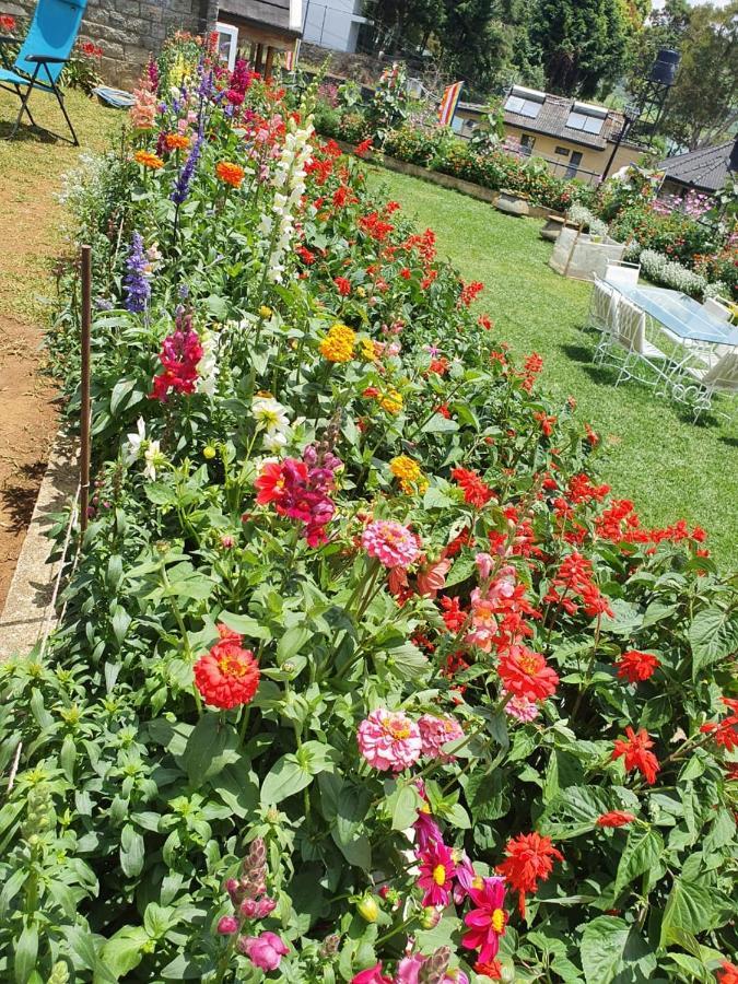 Lakeside Cottages Nuwara Eliya Bagian luar foto